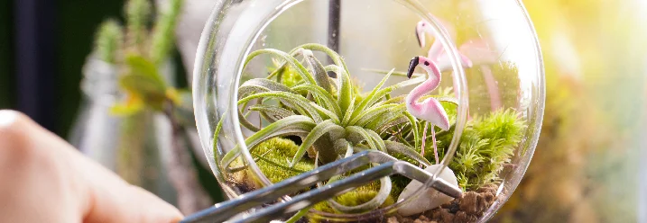 Hand bepflanzt Glas mit Pflanze